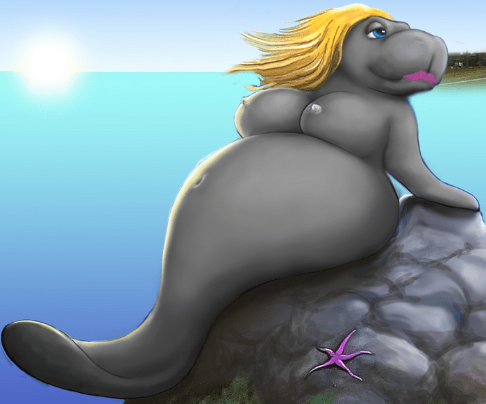 Fat Mermaid Art